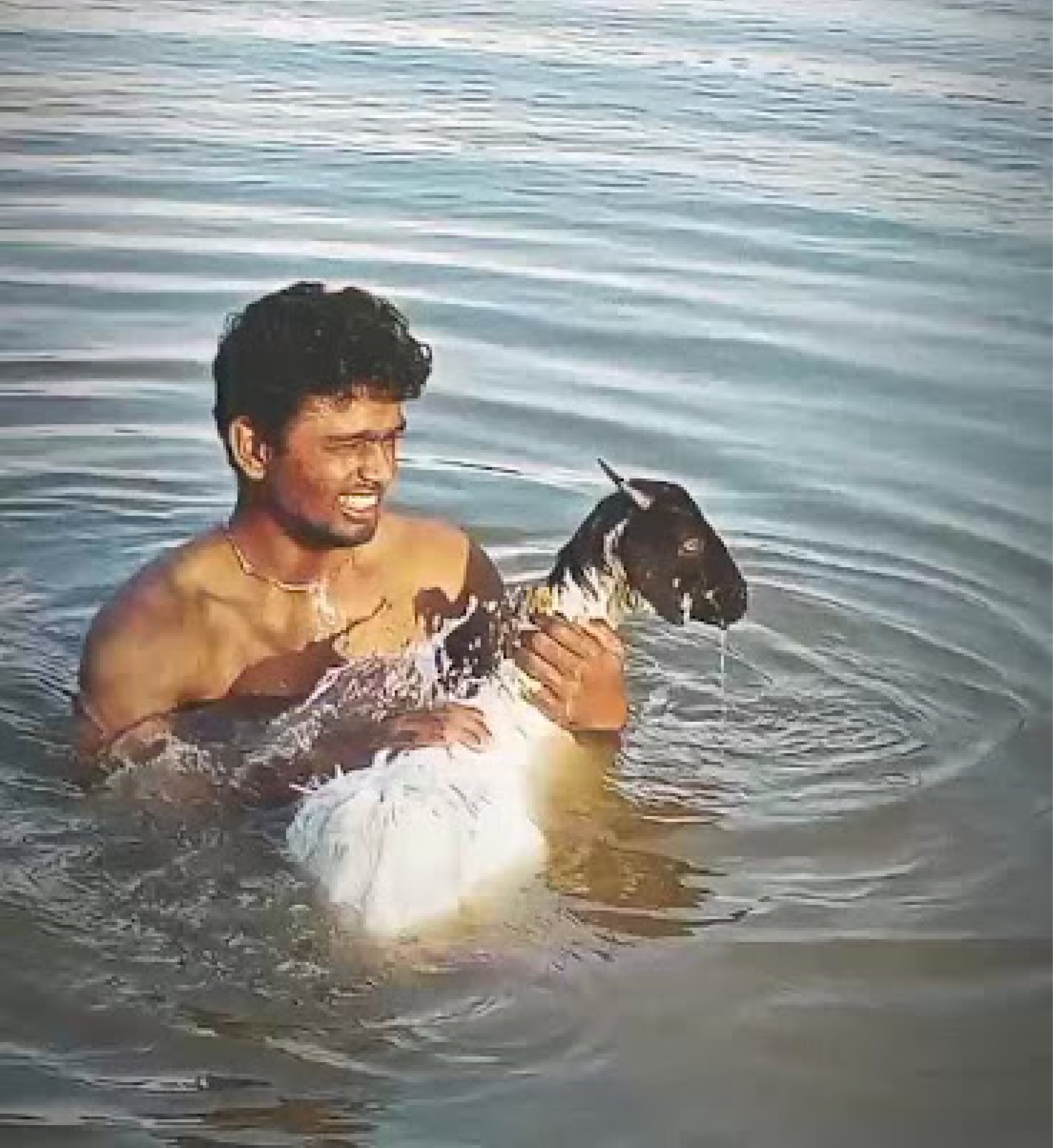 Jinglee The Legacy of My Grandpa's Beloved Goats
