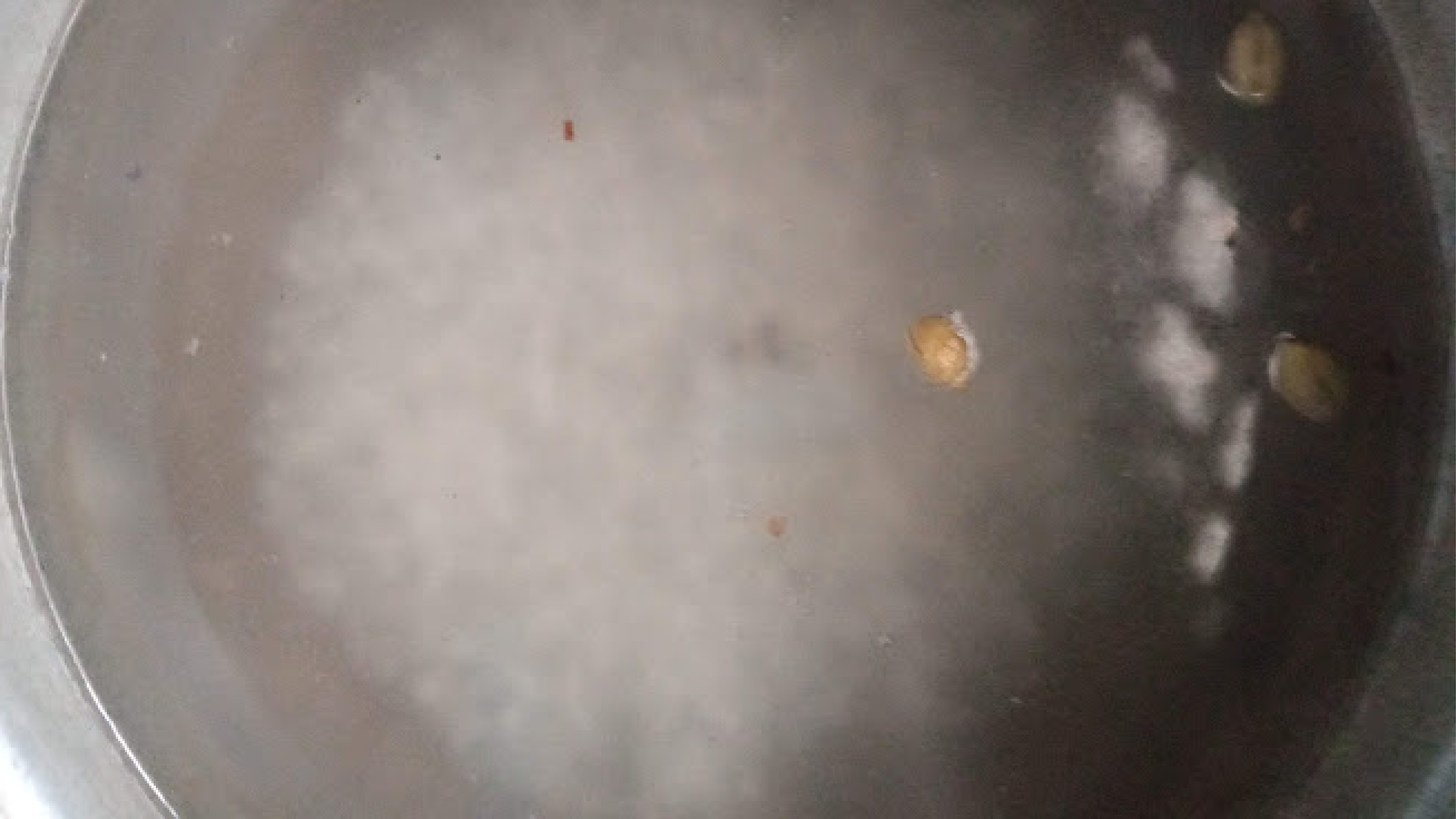 cooking