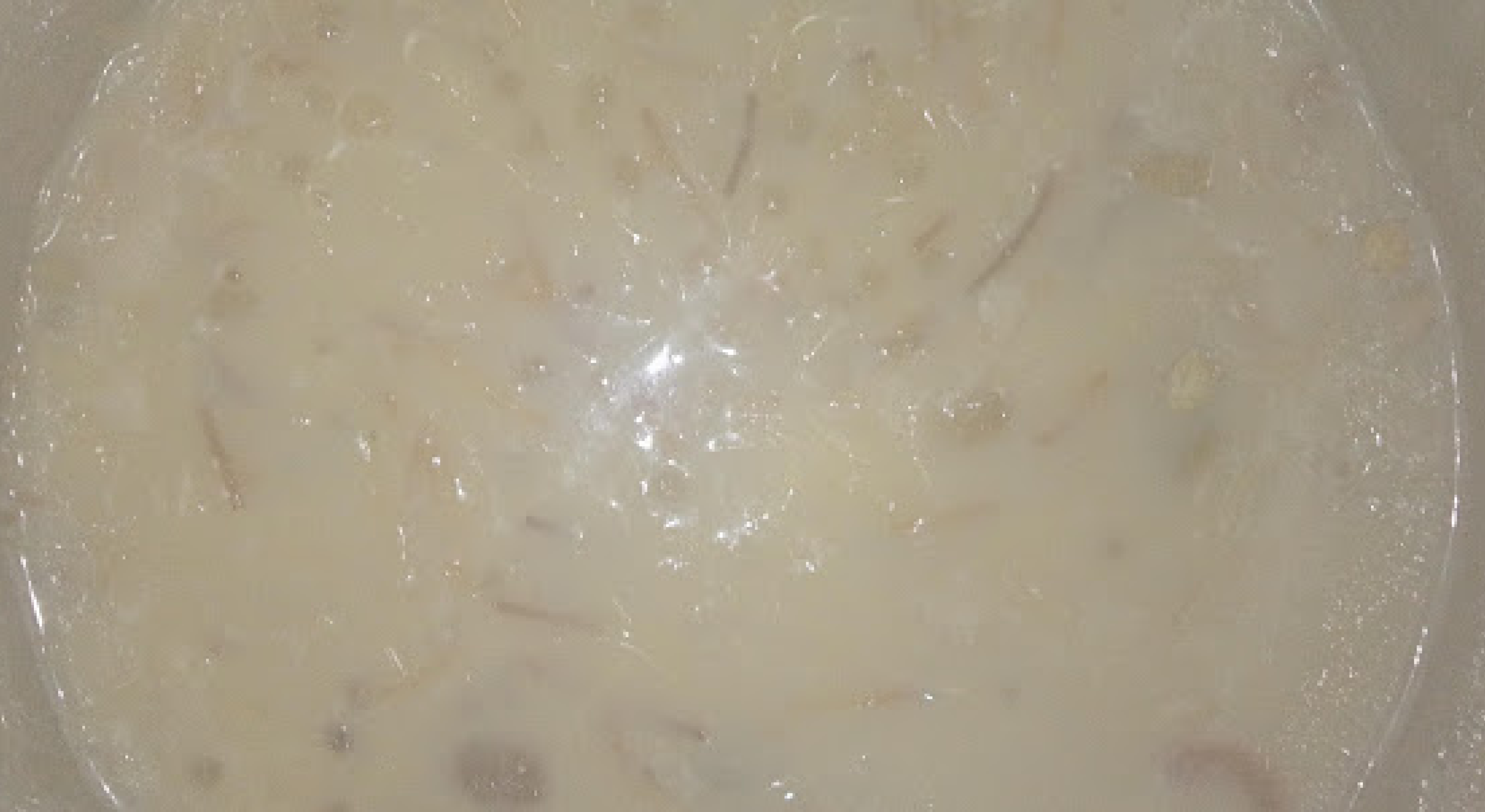 cooking